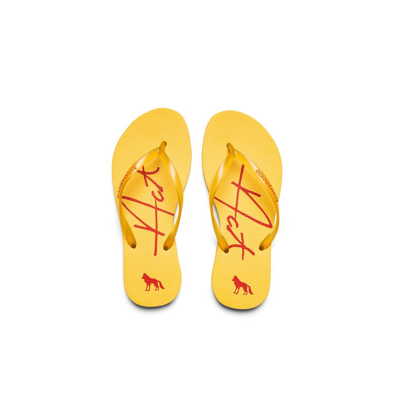 Chinelo-Level-One-ACT-Feminino