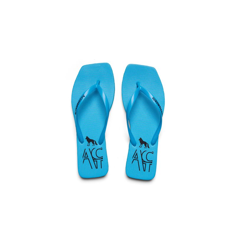 Chinelo-Contorno-ACT-Feminino