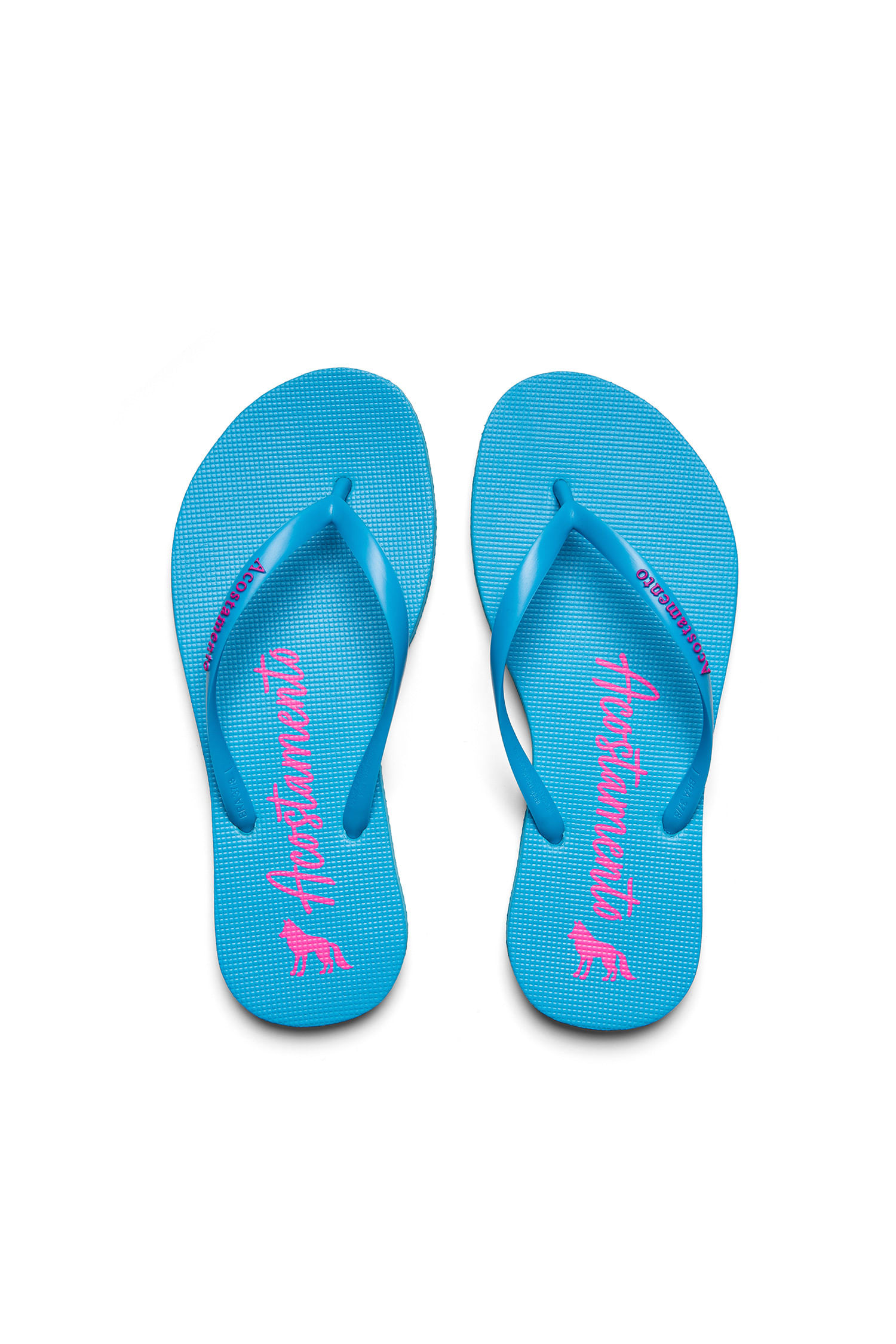 Chinelo Lobo Assinatura ACT Feminino