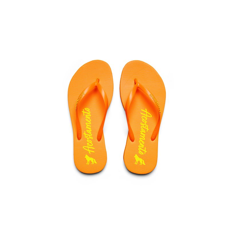 Chinelo-Lobo-Assinatura-ACT-Feminino