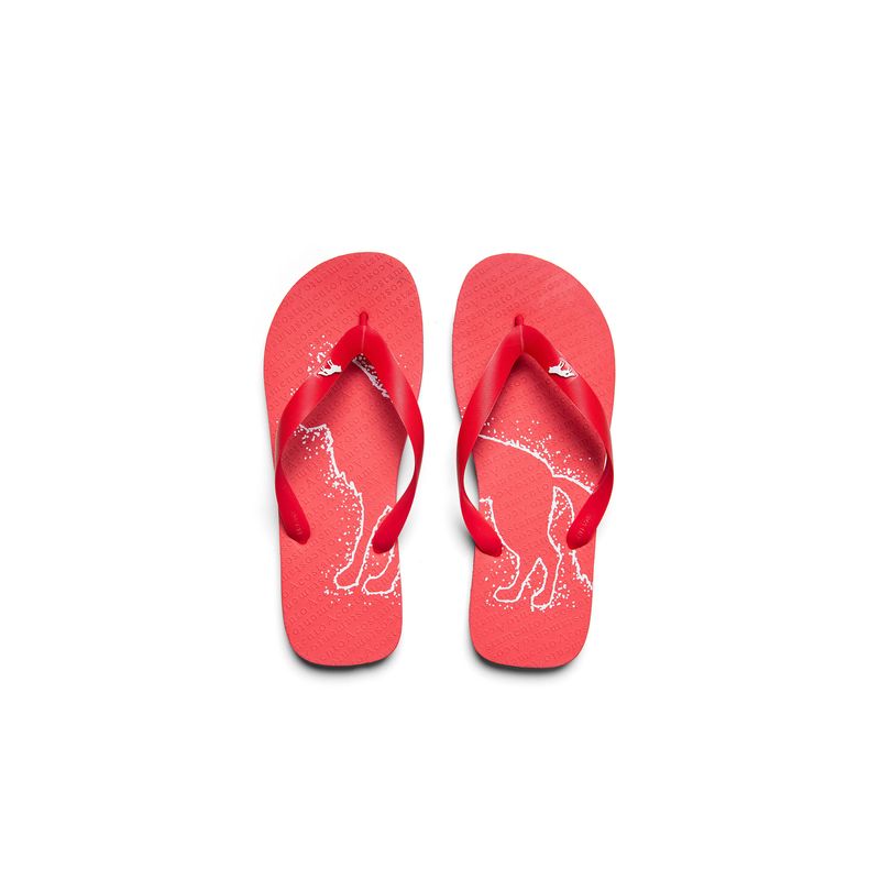 Chinelo-Wolf-Outline-Masculino-Acostamento