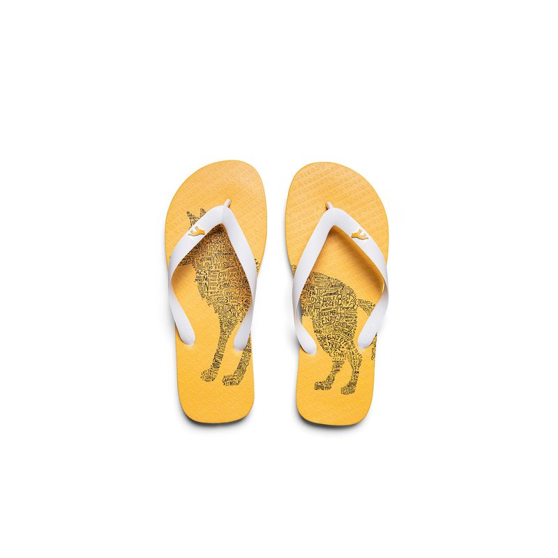 Chinelo-Wolf-Typography-Masculino-Acostamento