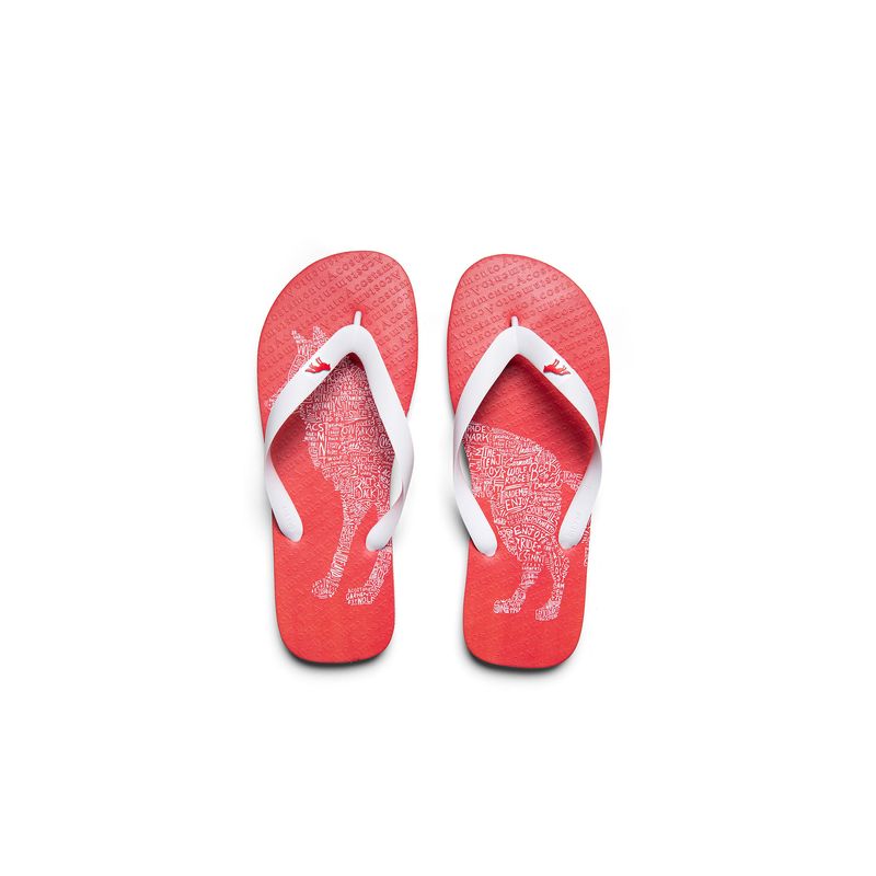 Chinelo-Wolf-Typography-Masculino-Acostamento