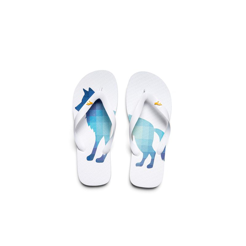 Chinelo-Wolf-Pixel-Masculino-Acostamento