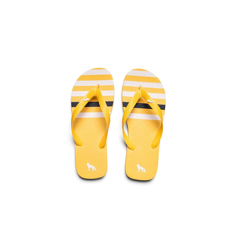 Chinelo-Stripes-Motion-Masculino-Acostamento