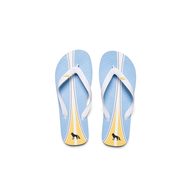 Chinelo-Carbon-Line-Masculino-Acostamento