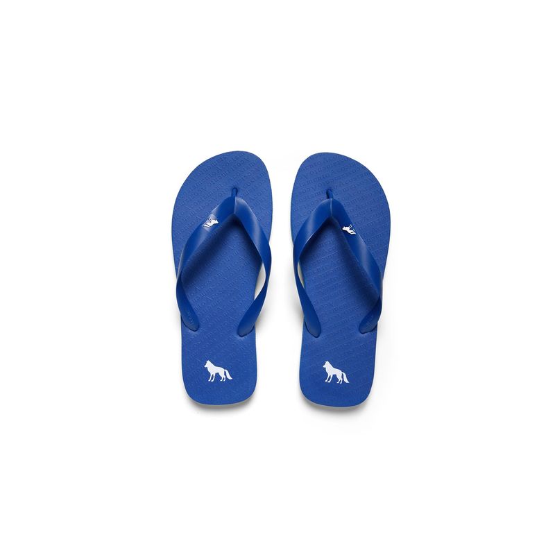 Chinelo-Essential-Basic-Masculino-Acostamento