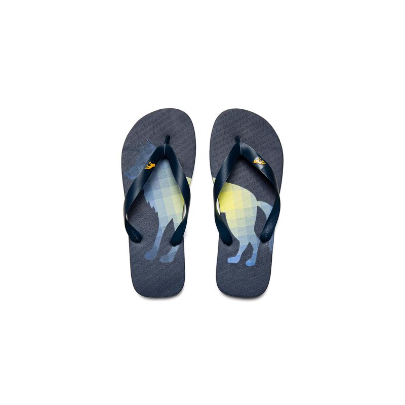 Chinelo-Lobo-Geo-Color-Masculino-Acostamento