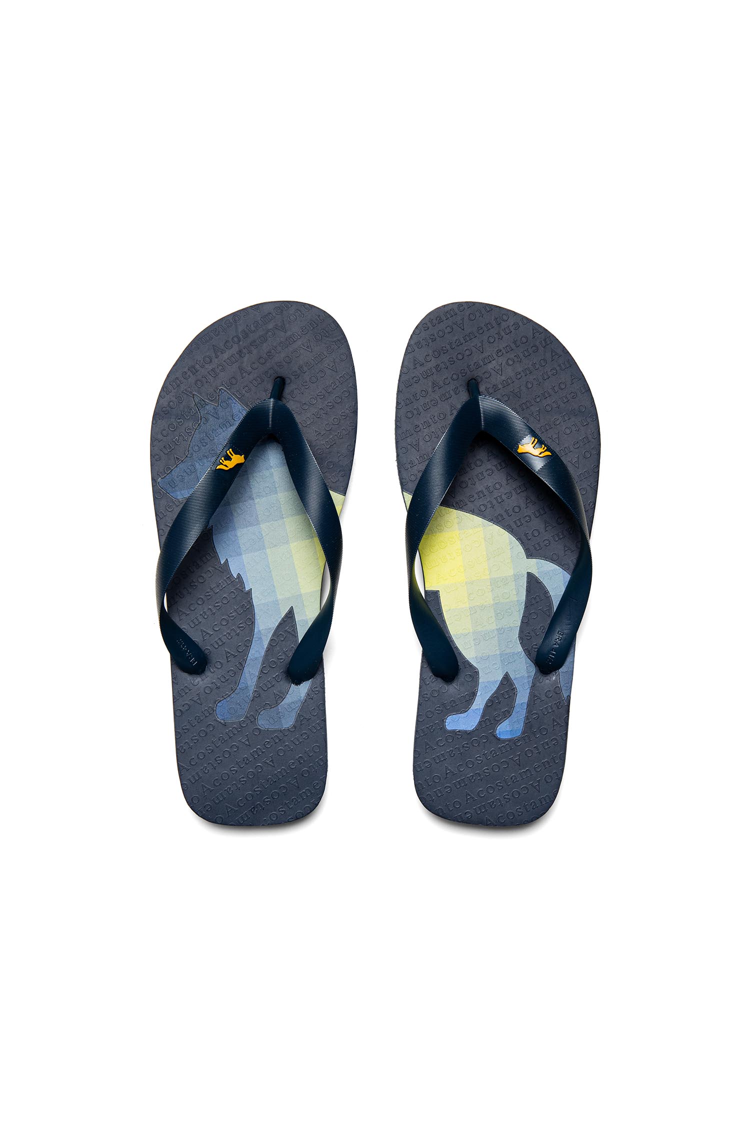 Chinelo Lobo Geo Color Masculino Acostamento