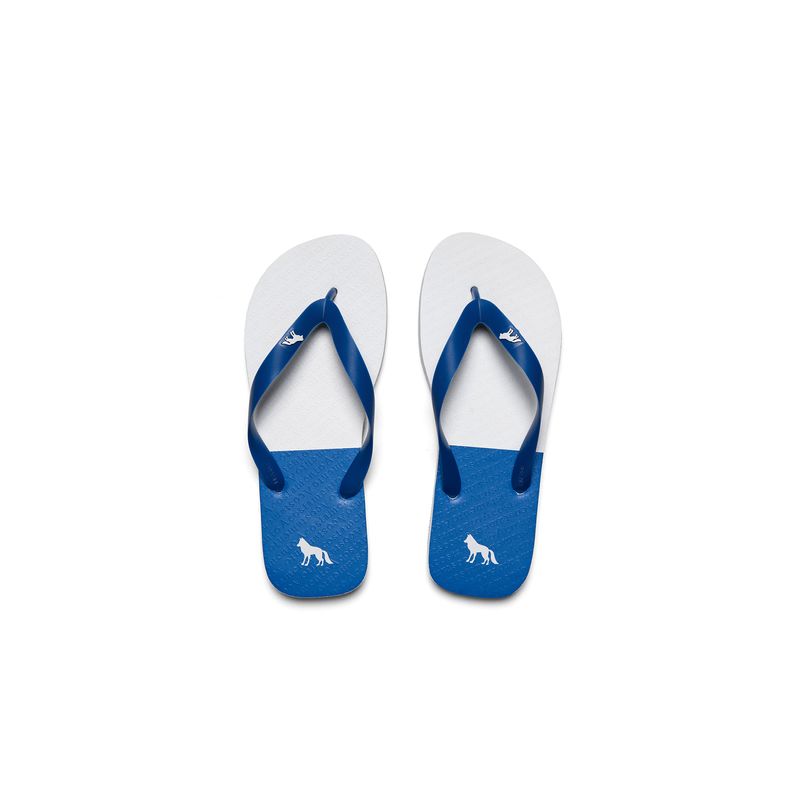 Chinelo-Recorte-Color-Masculino-Acostamento