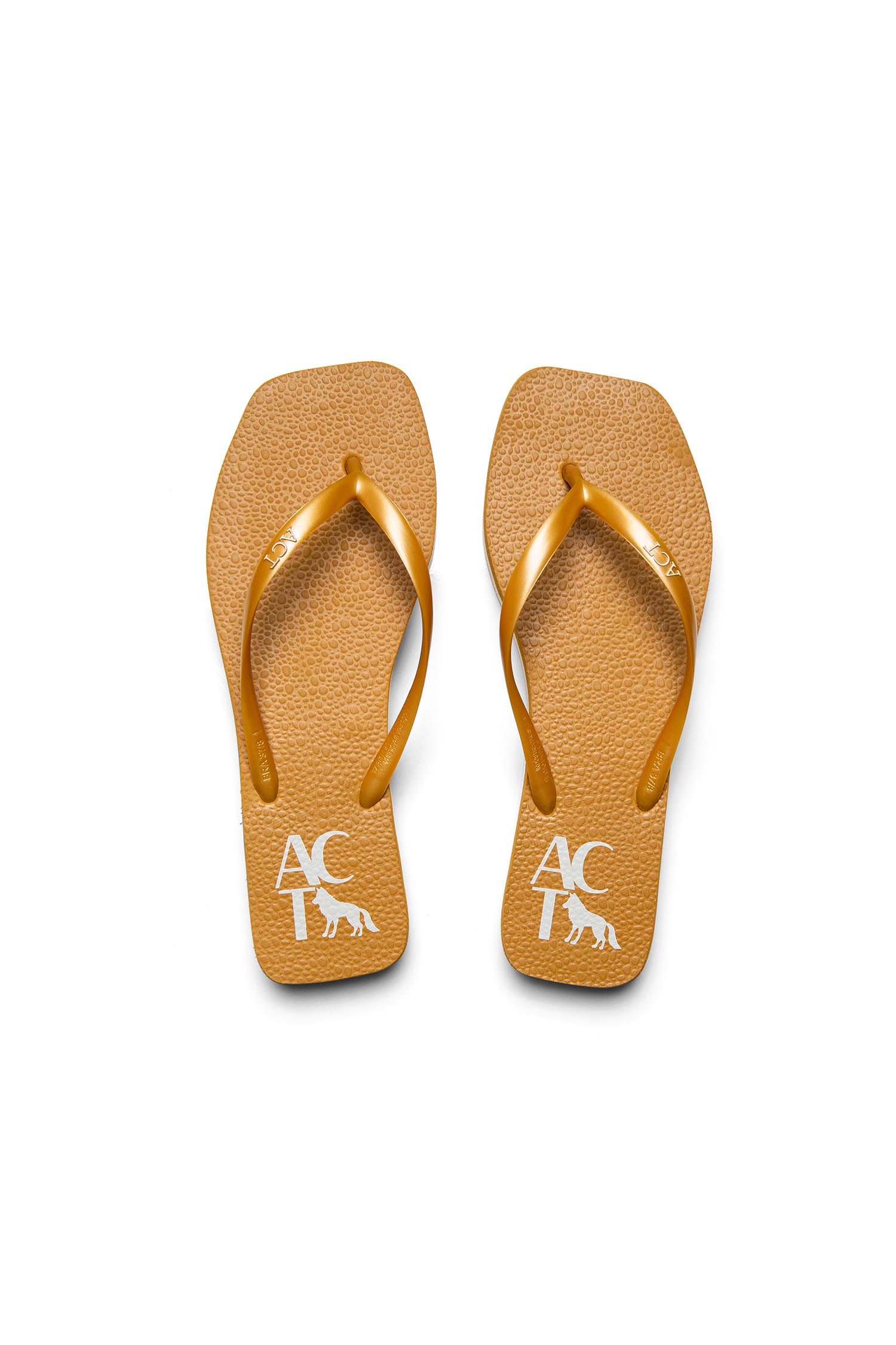 Chinelo Sola Texturizada ACT Feminino