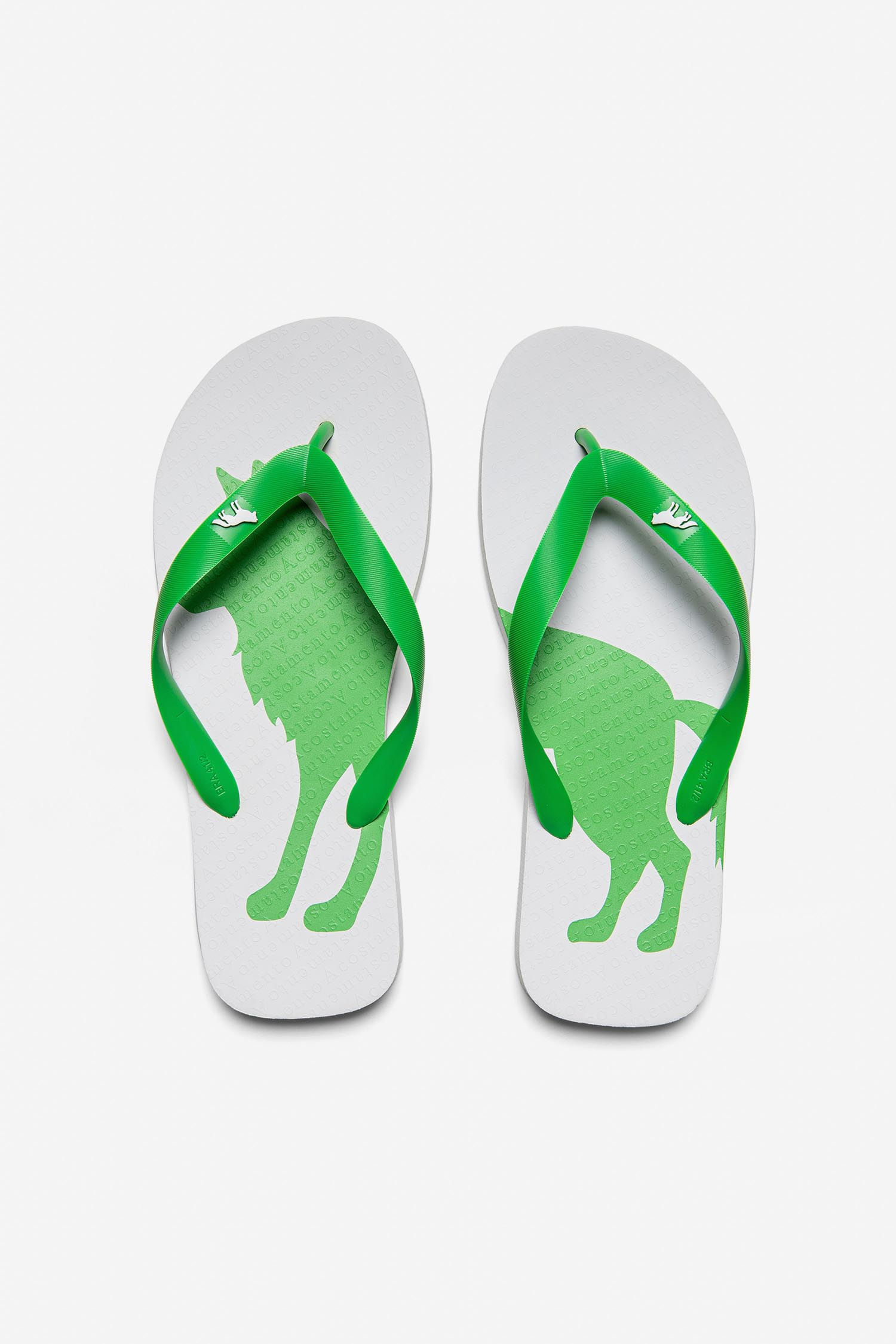 Chinelo O Lobo Masculino Acostamento