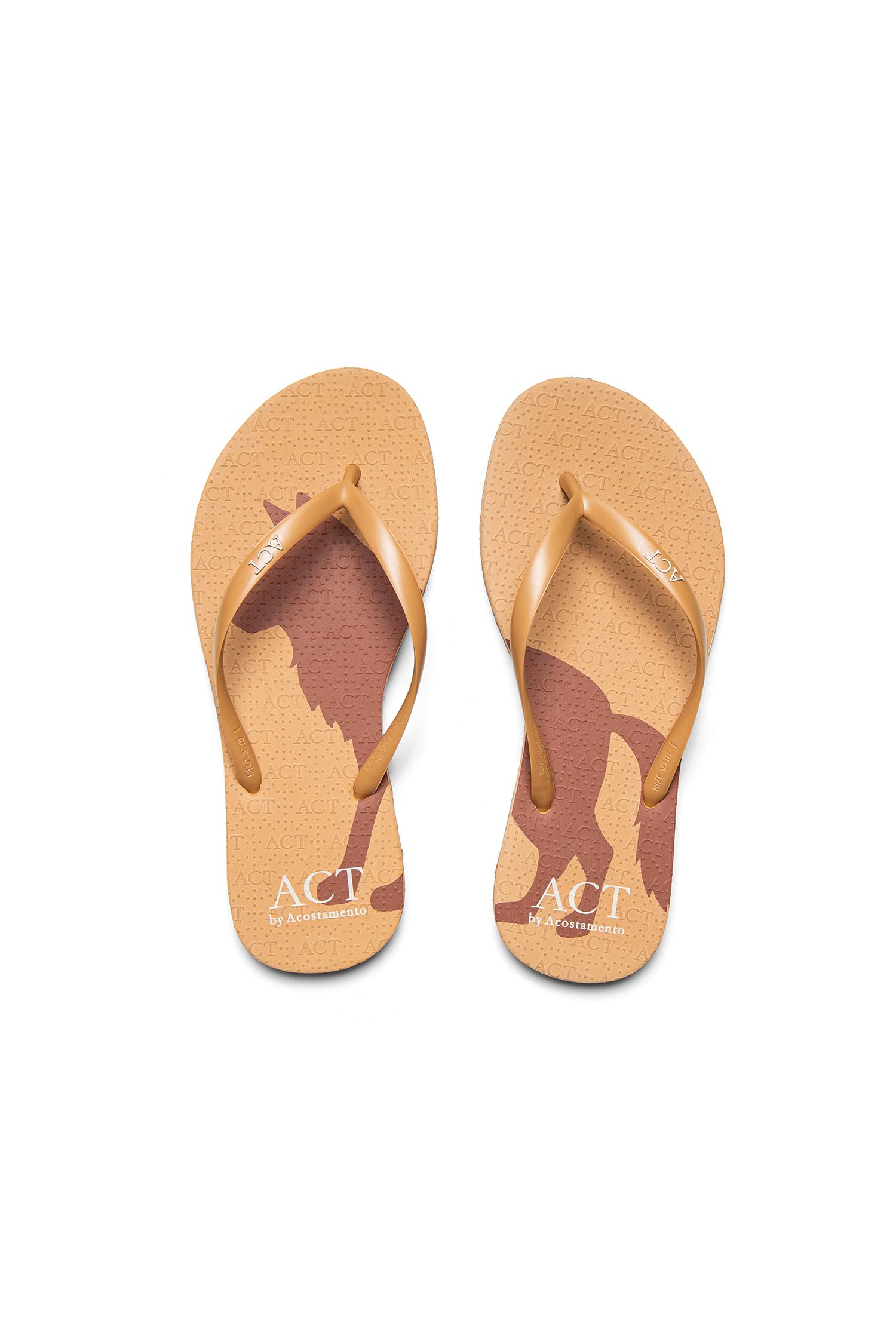 Chinelo Minimal Lobo ACT Feminino