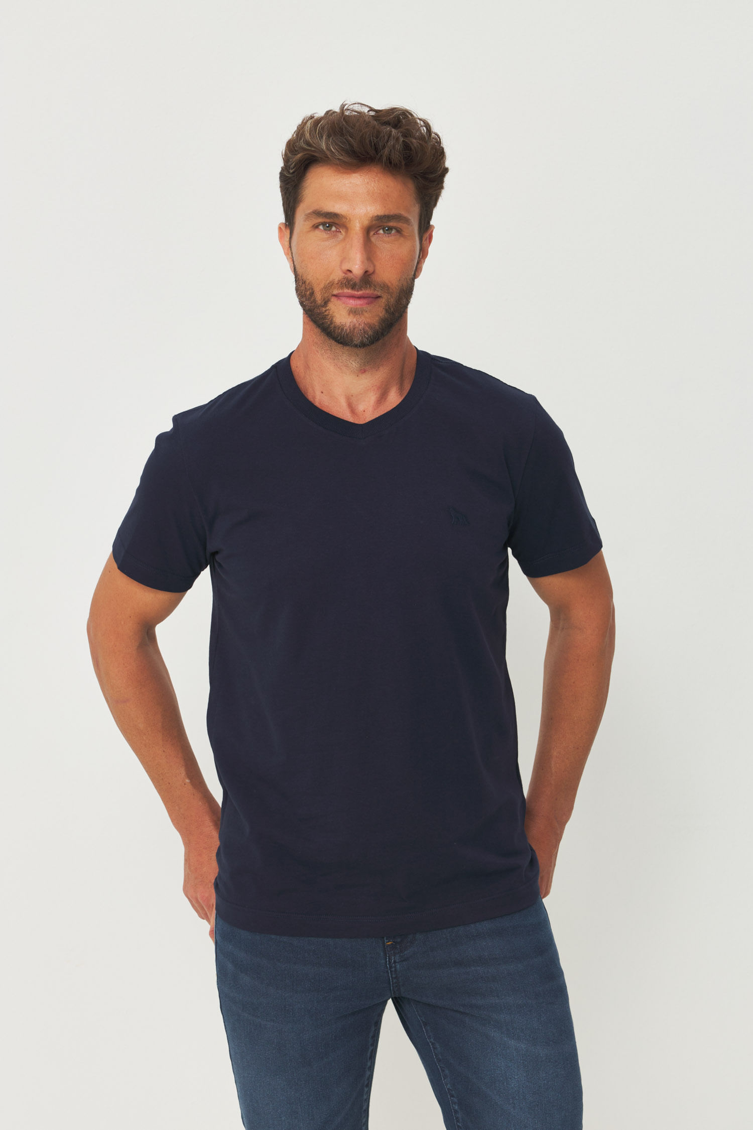 Camiseta Casual Gola V Masculina Acostamento