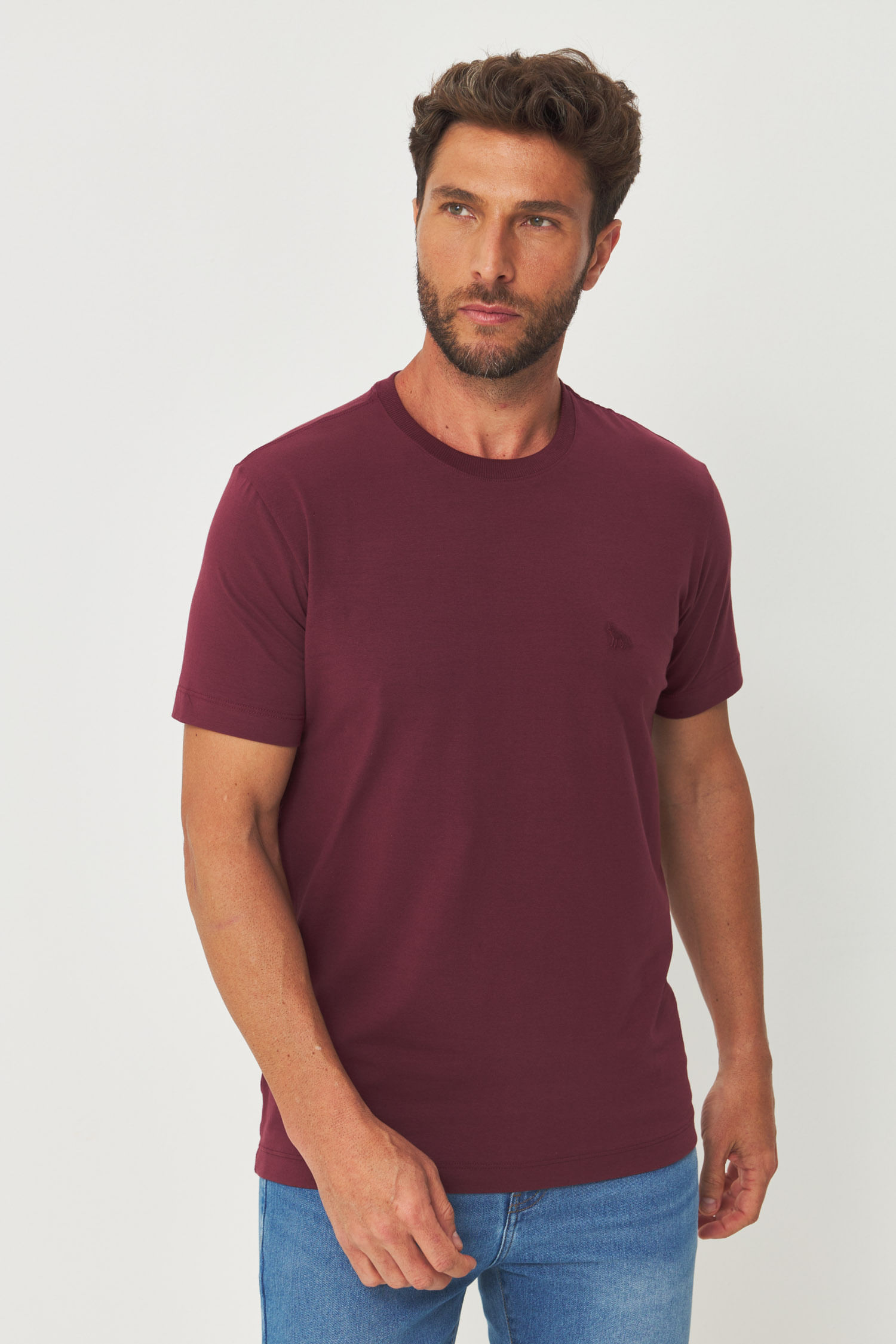Camiseta Basic Minimalista Masculina Acostamento