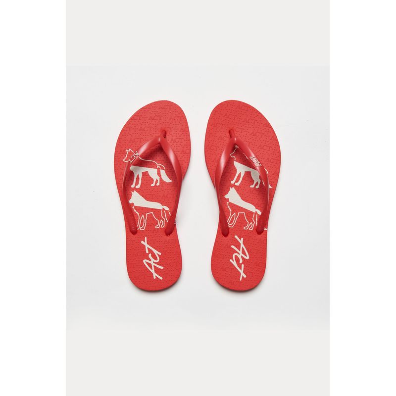Chinelo-Estampa-Wolf-ACT-Feminino