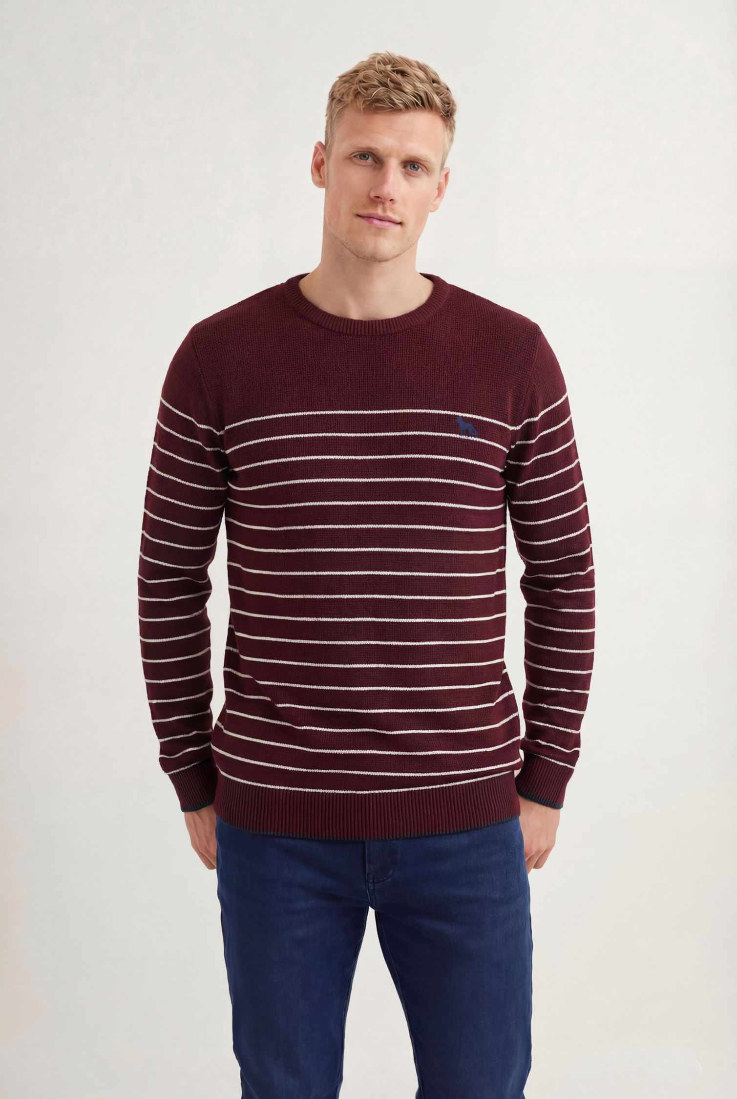 Suéter Tricot Listrado Masculino Acostamento