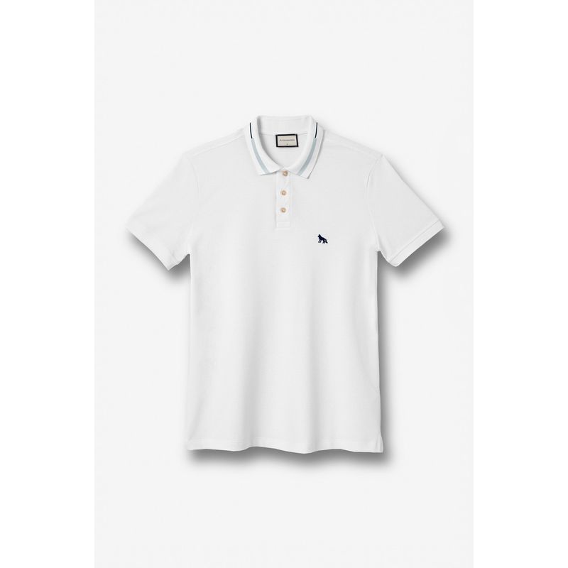 Polo-Bordada-Com-Elastano-Masculina-Acostamento