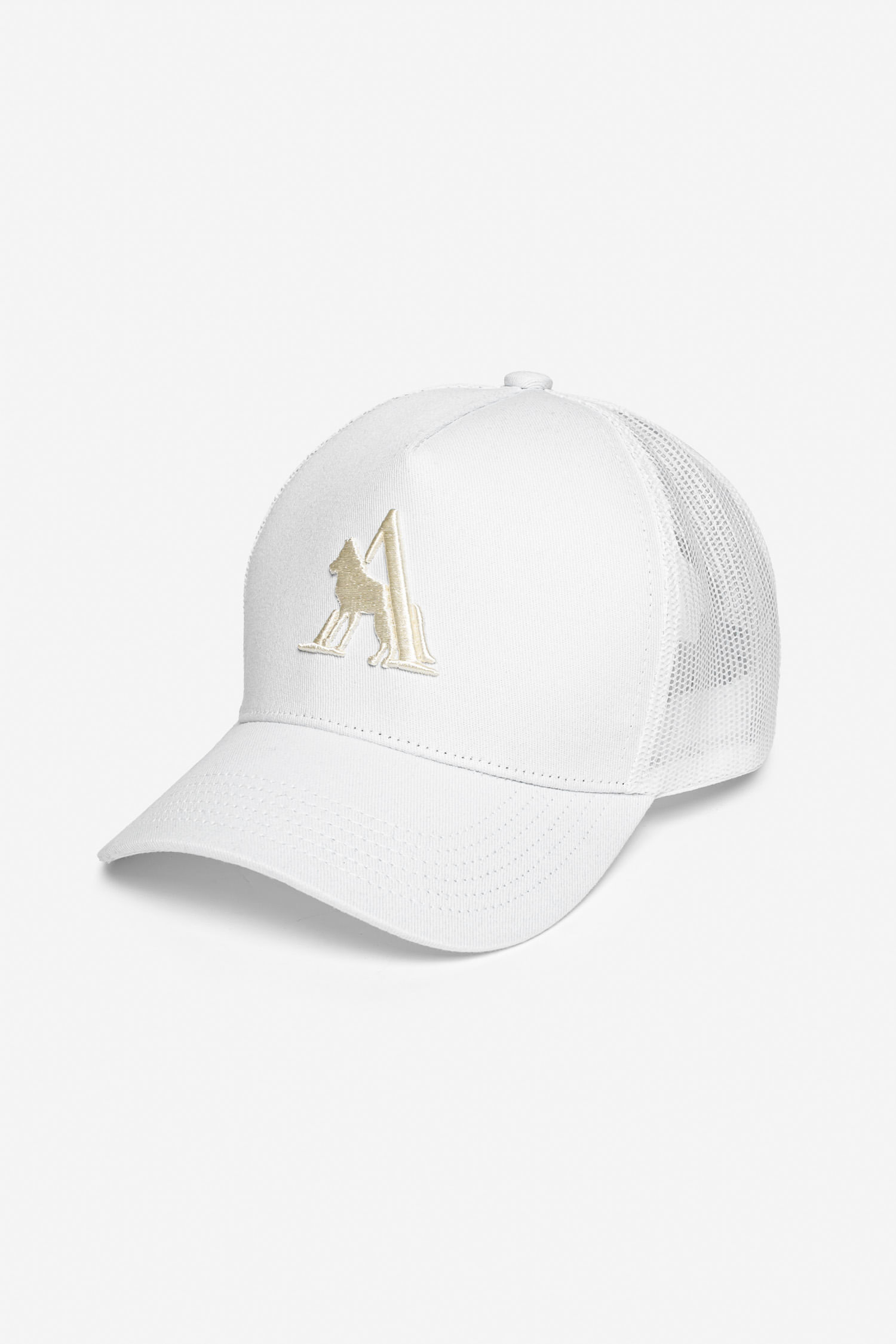 Boné Trucker Logo Frontal Masculino Acostamento