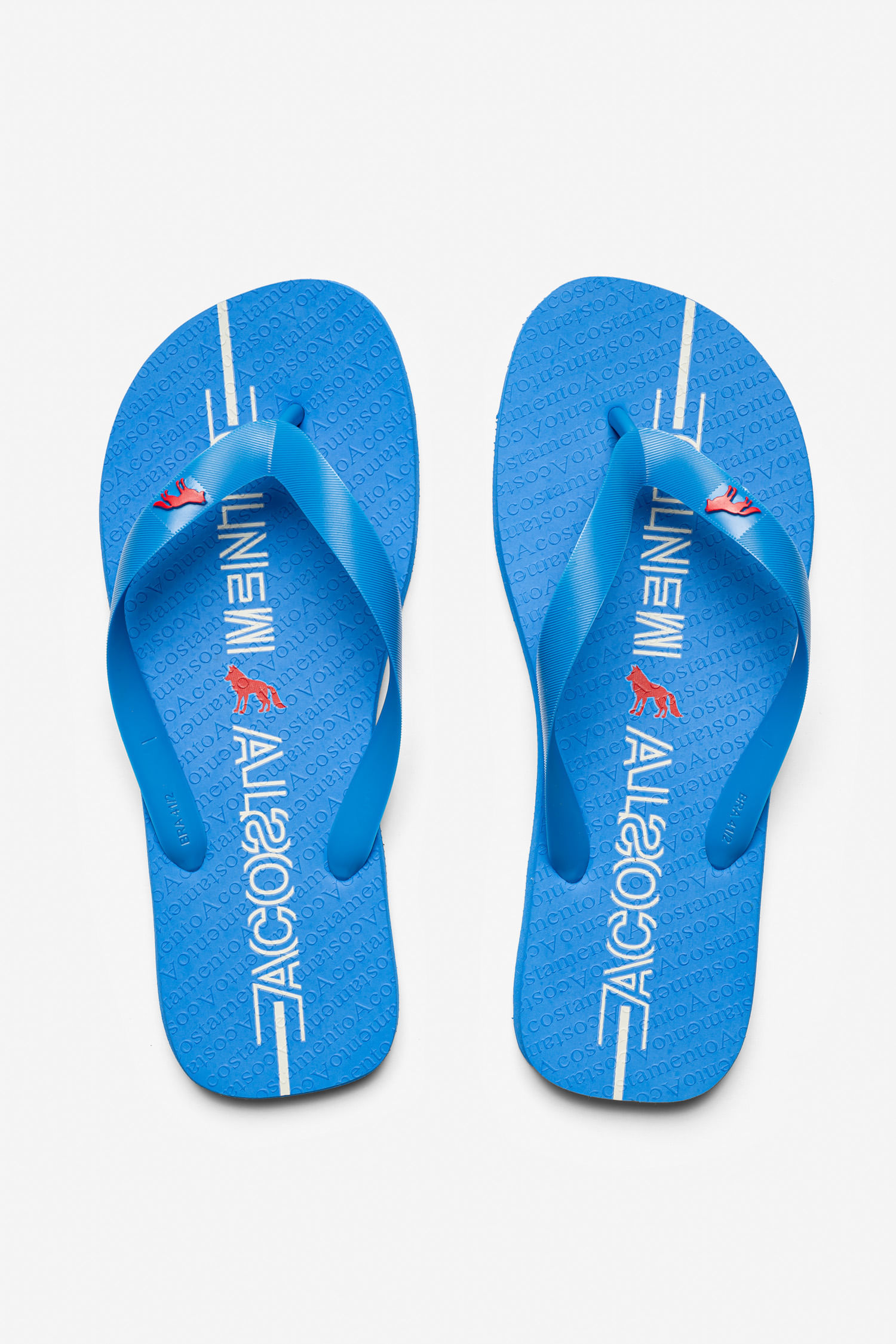 Chinelo Origem Logo Masculino Acostamento