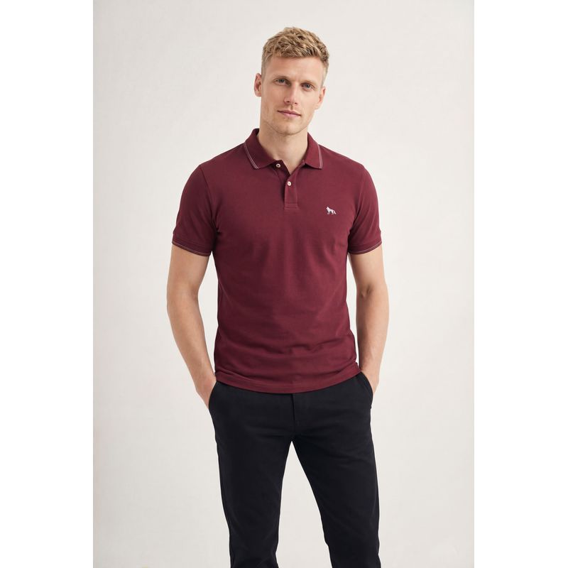 Polo-Com-Elastano-Bordada-Masculina-Acostamento